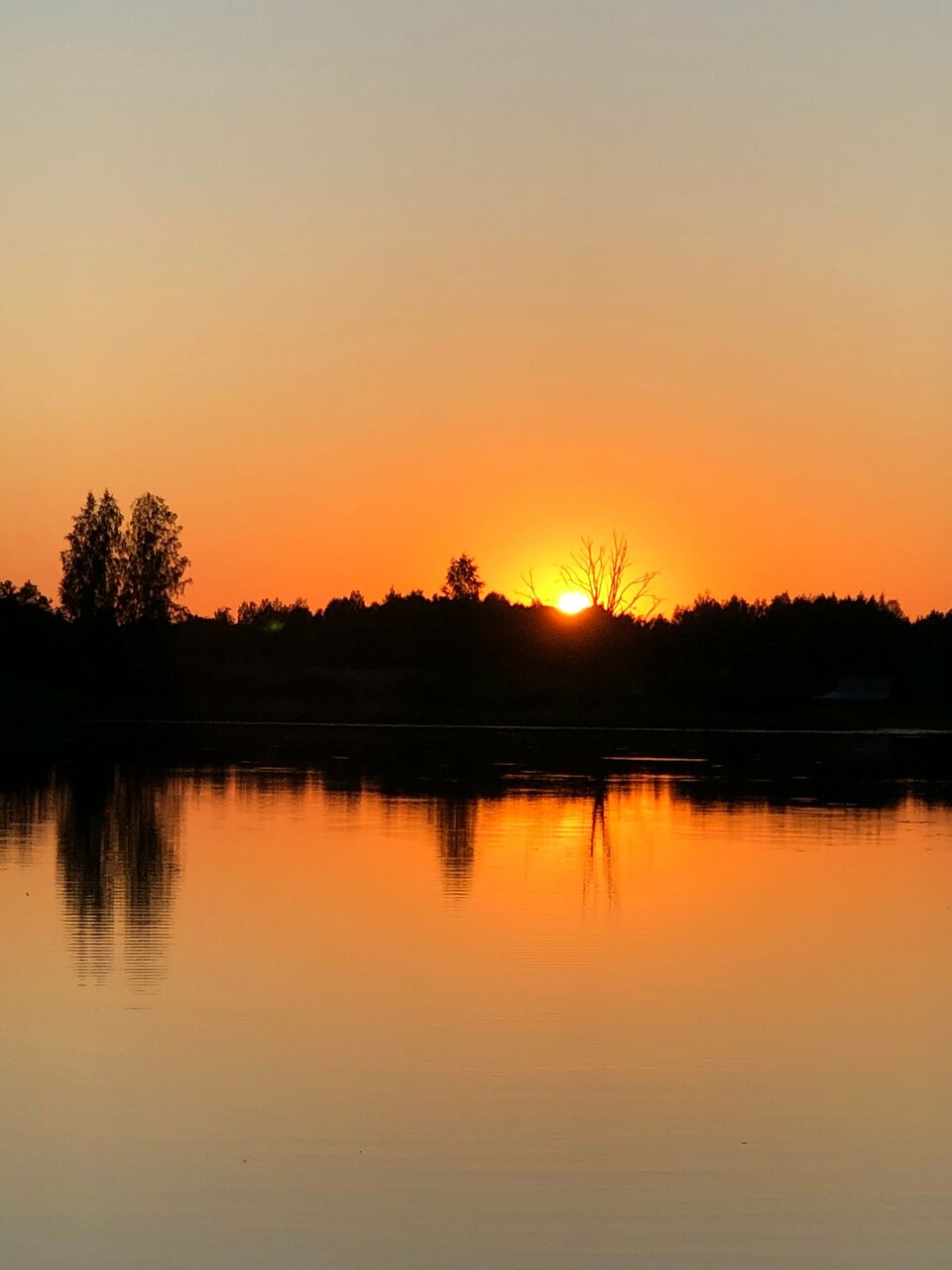 Гостиница Селигер Палас Осташков-226