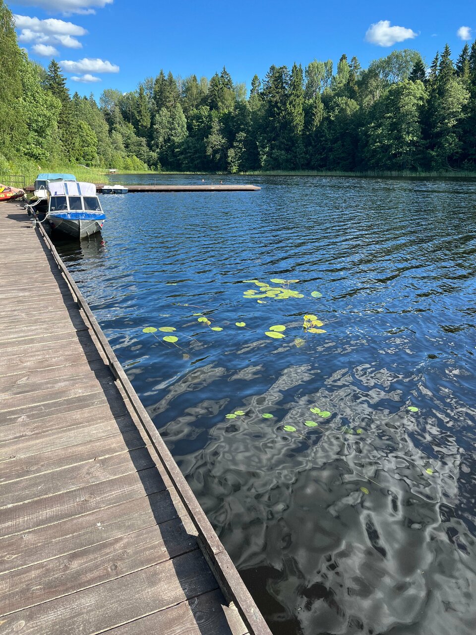 Гостиница Селигер Палас Осташков-170