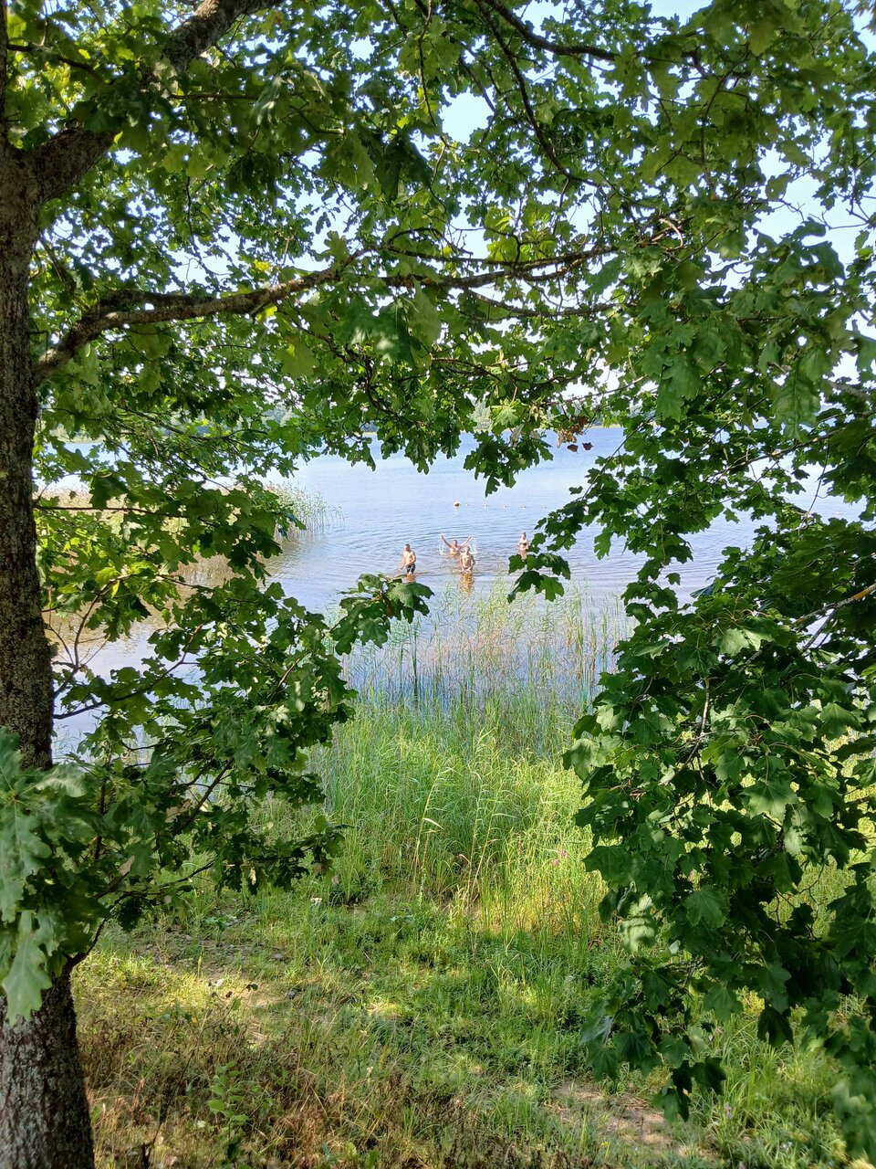 Гостиница Селигер Палас Осташков-195