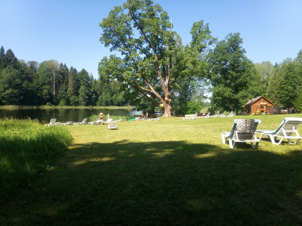 Гостиница Селигер Палас Осташков-183