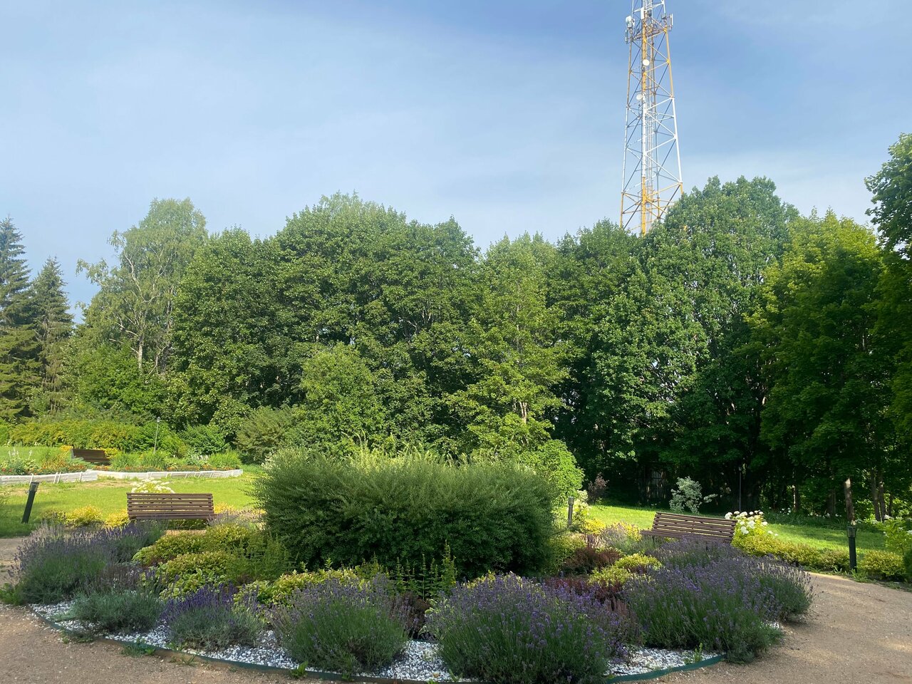 Гостиница Селигер Палас Осташков-37