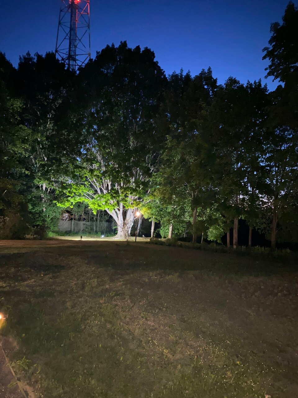 Гостиница Селигер Палас Осташков-100