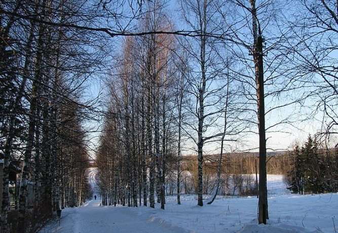 Гостиница Селигер Палас Осташков-7