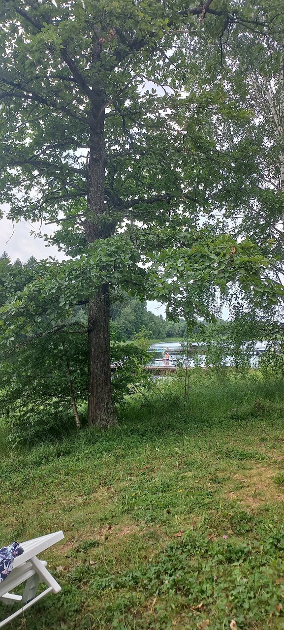 Гостиница Селигер Палас Осташков-251