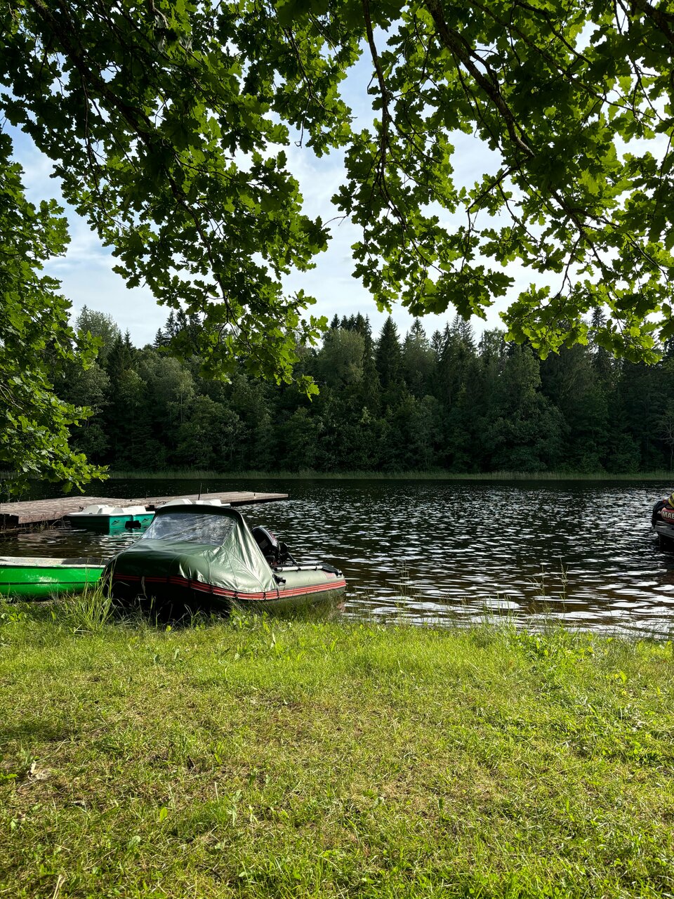 Гостиница Селигер Палас Осташков-227