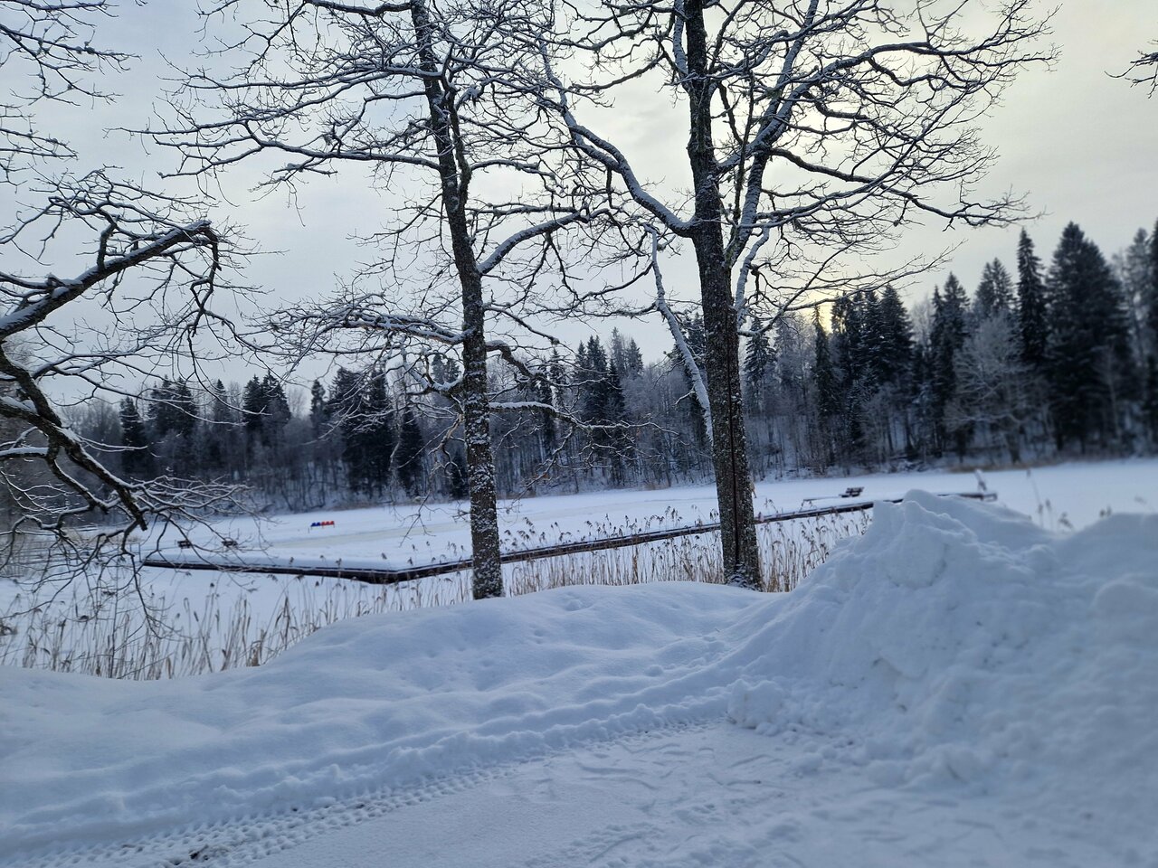 Гостиница Селигер Палас Осташков-147