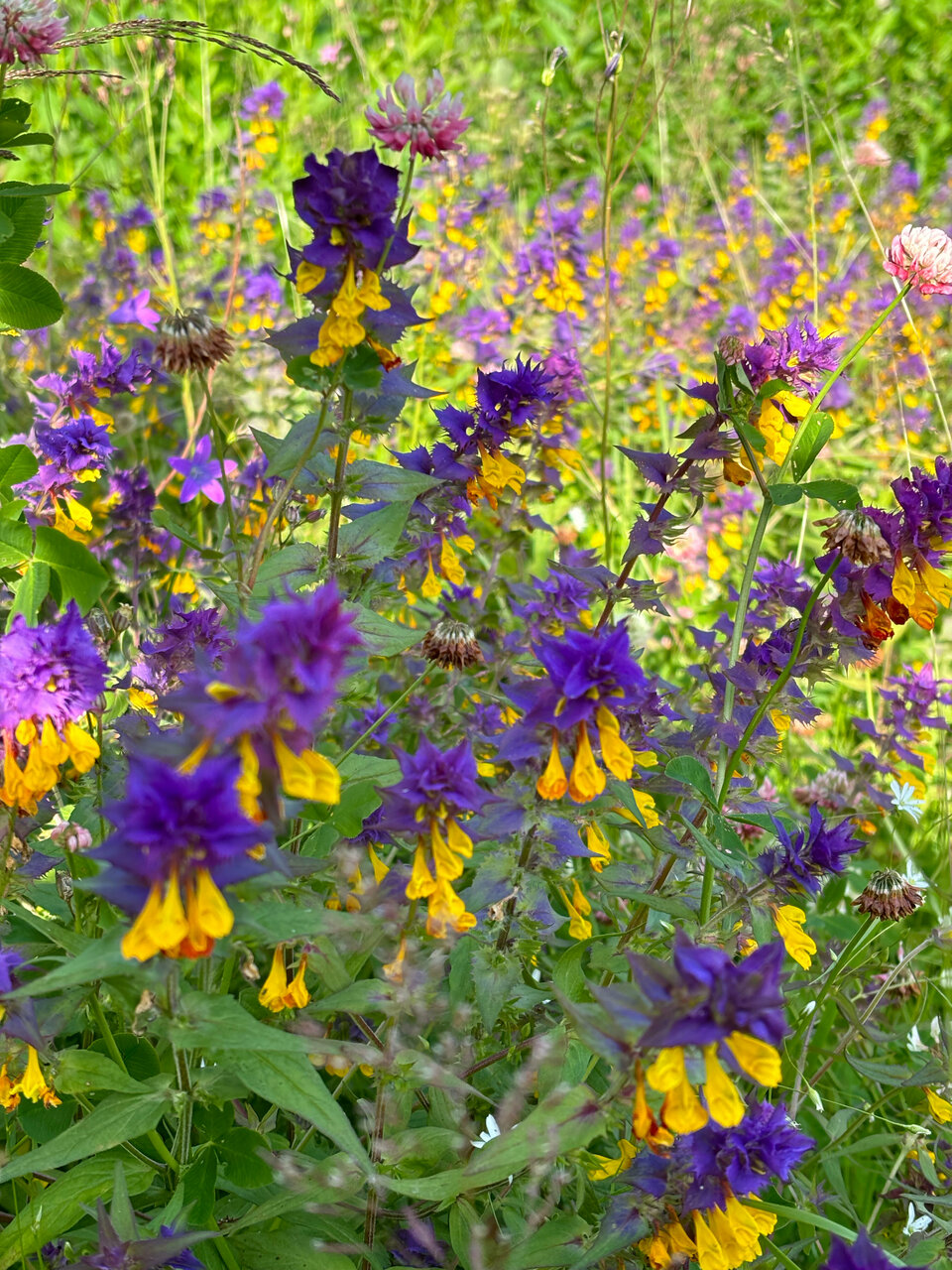 Гостиница Селигер Палас Осташков-238