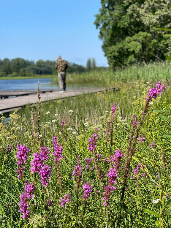 Гостиница Селигер Палас Осташков-166