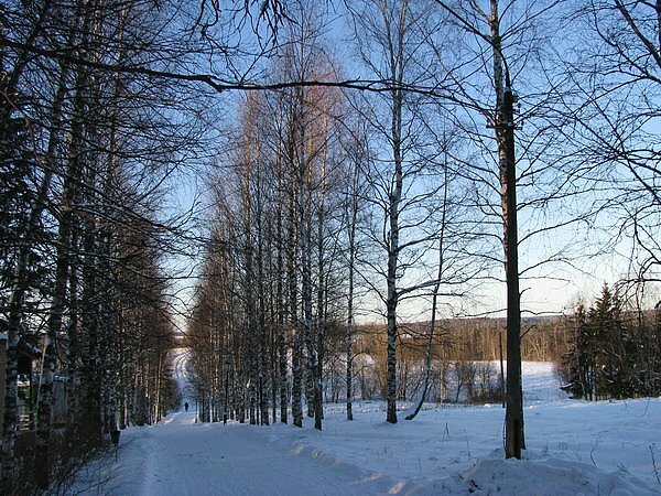 Гостиница Селигер Палас Осташков-112