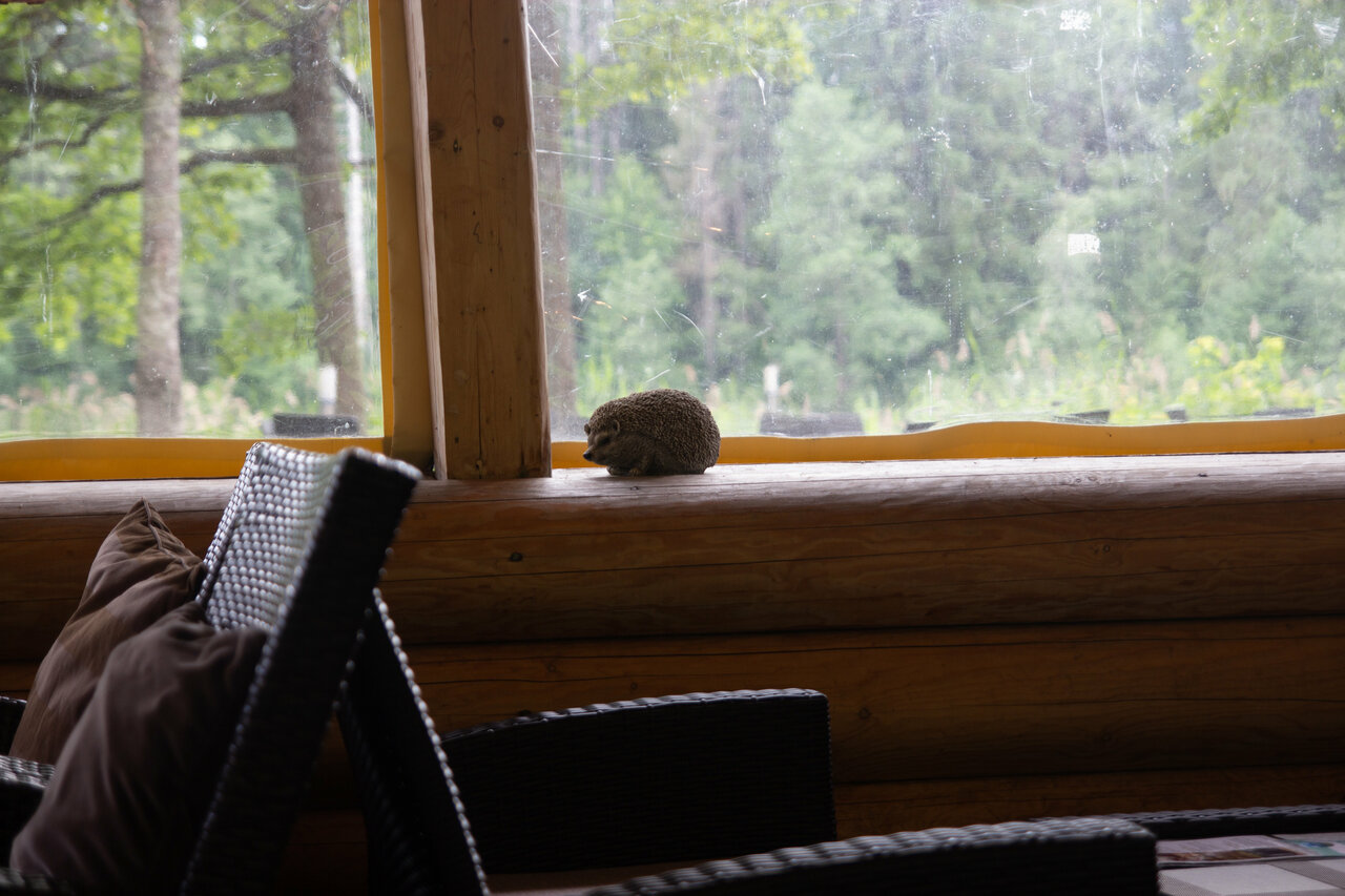 Гостиница Селигер Палас Осташков