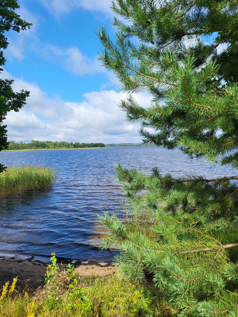 Гостиница Селигер Палас Осташков-206