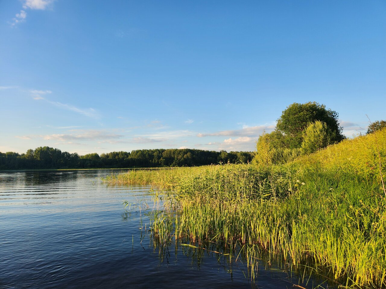 Гостиница Селигер Палас Осташков-182