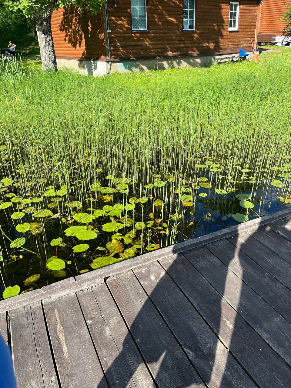 Гостиница Селигер Палас Осташков-160