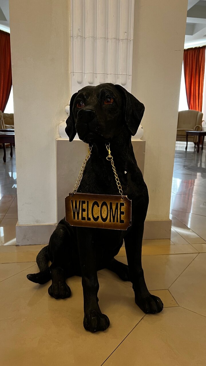 Гостиница Селигер Палас Осташков-75