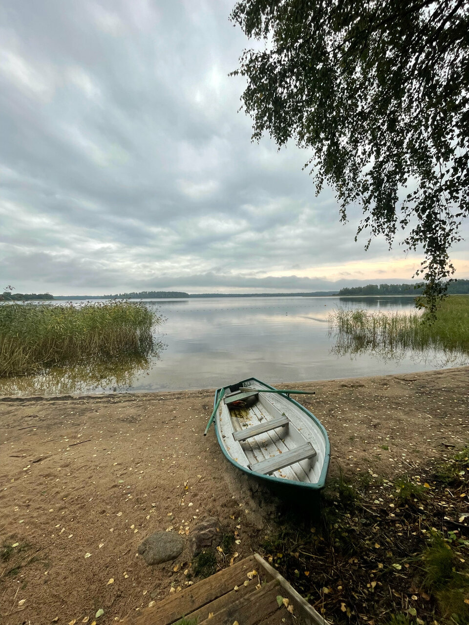 Гостиница Селигер Палас Осташков-191