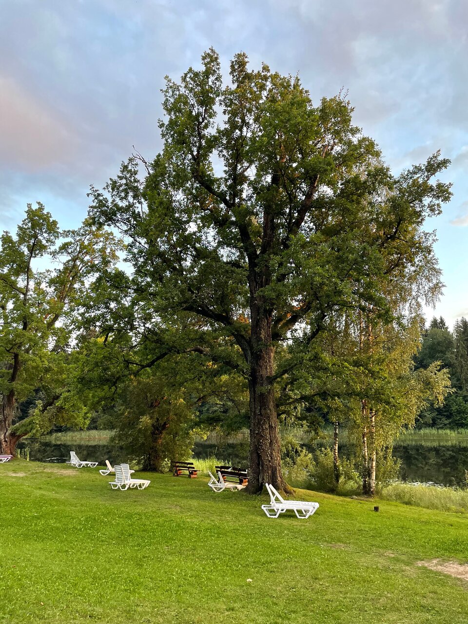 Гостиница Селигер Палас Осташков-47