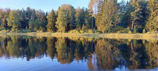 Гостиница Селигер Палас Осташков-188