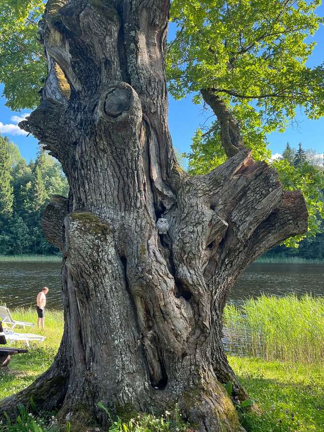 Гостиница Селигер Палас Осташков-161