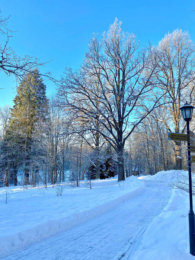 Гостиница Селигер Палас Осташков-148
