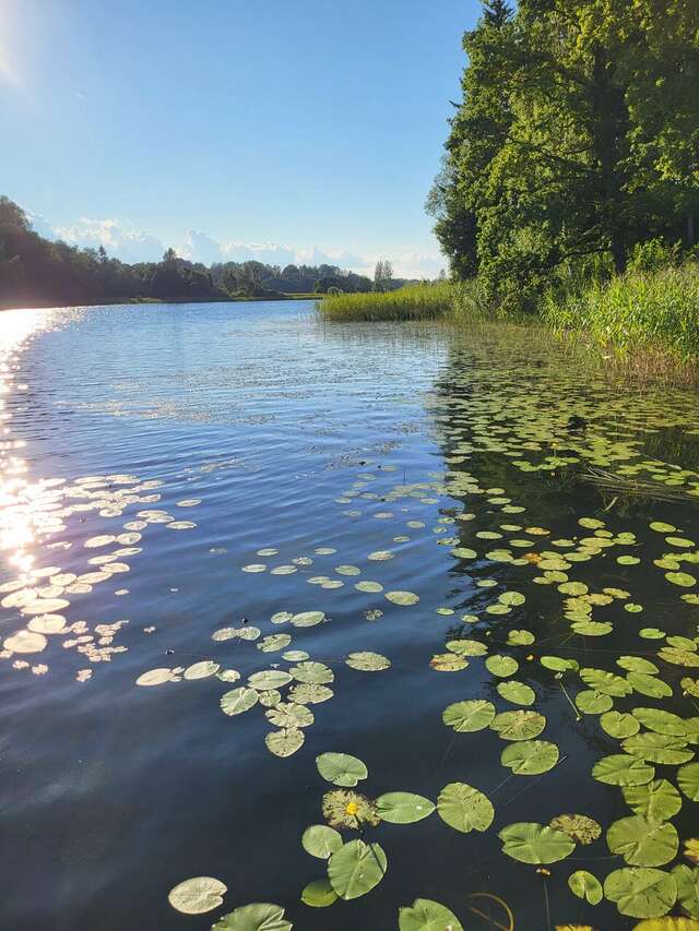 Гостиница Селигер Палас Осташков-172