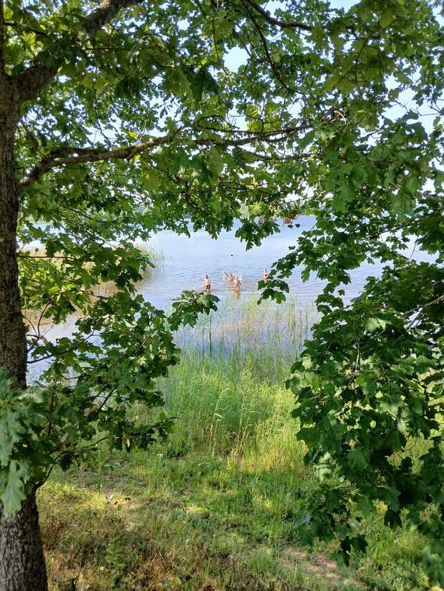 Гостиница Селигер Палас Осташков-194