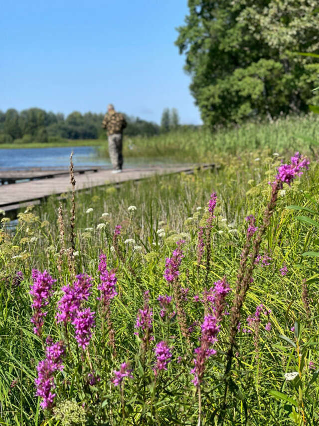 Гостиница Селигер Палас Осташков-165