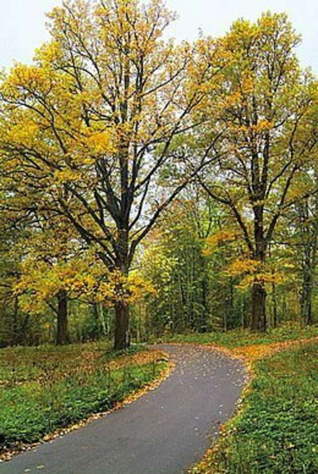 Гостиница Селигер Палас Осташков-21