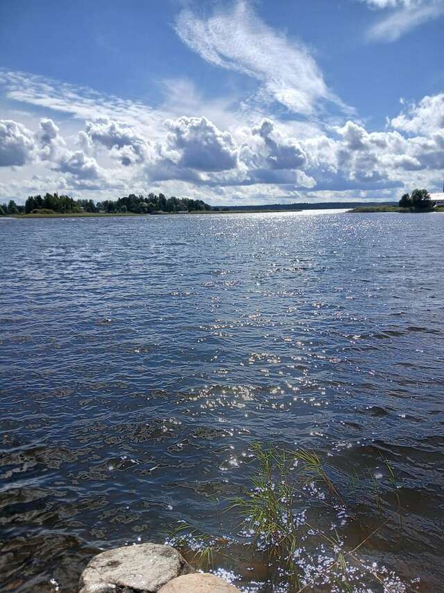 Гостиница Селигер Палас Осташков-214