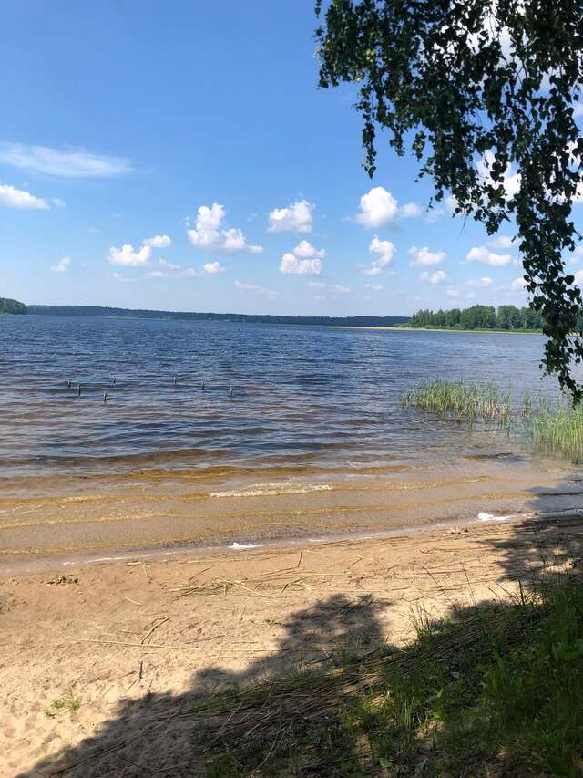 Гостиница Селигер Палас Осташков-136