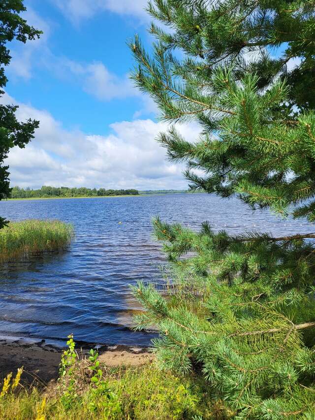 Гостиница Селигер Палас Осташков-205