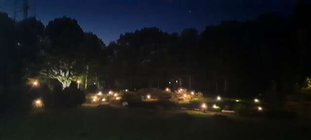 Гостиница Селигер Палас Осташков-222