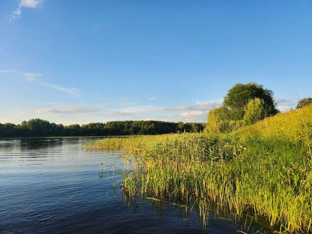 Гостиница Селигер Палас Осташков-181