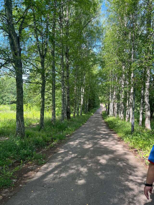 Гостиница Селигер Палас Осташков-186