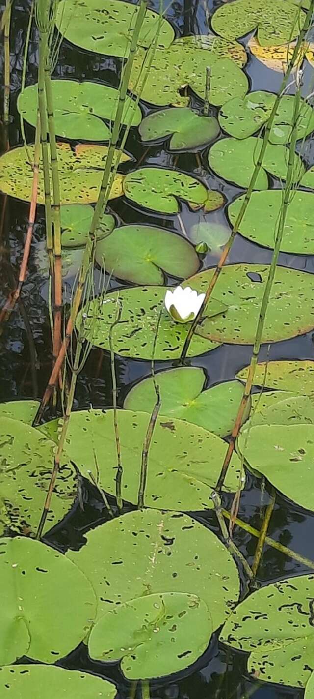 Гостиница Селигер Палас Осташков-252
