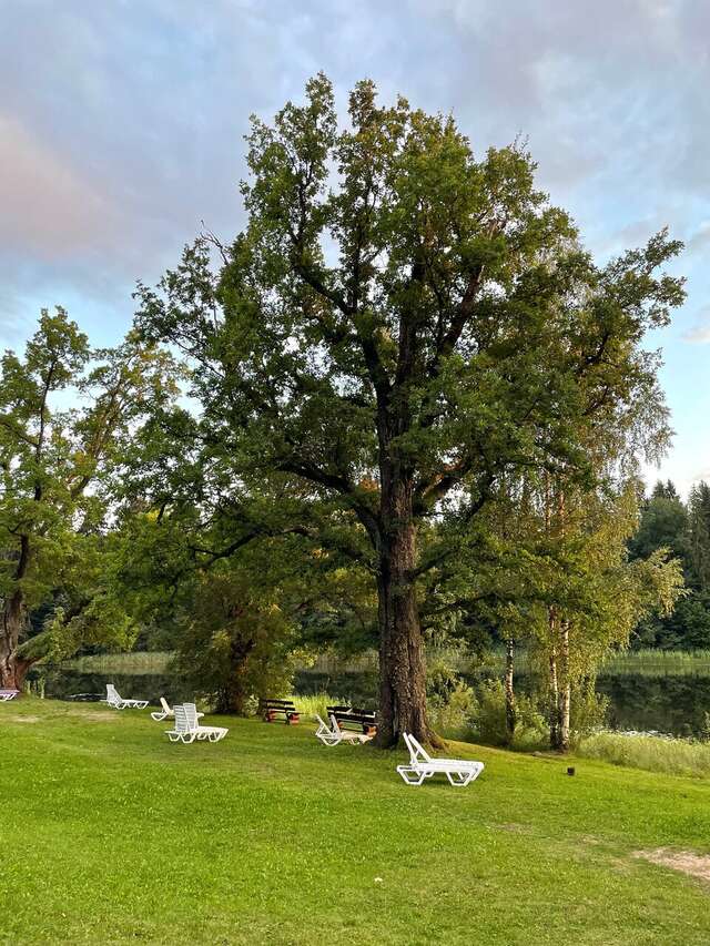 Гостиница Селигер Палас Осташков-46