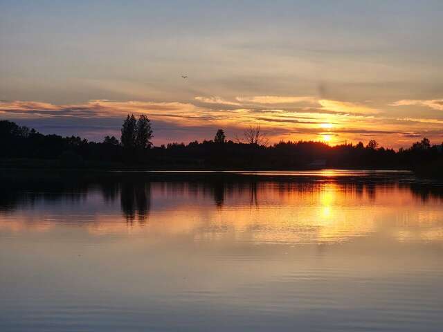 Гостиница Селигер Палас Осташков-229