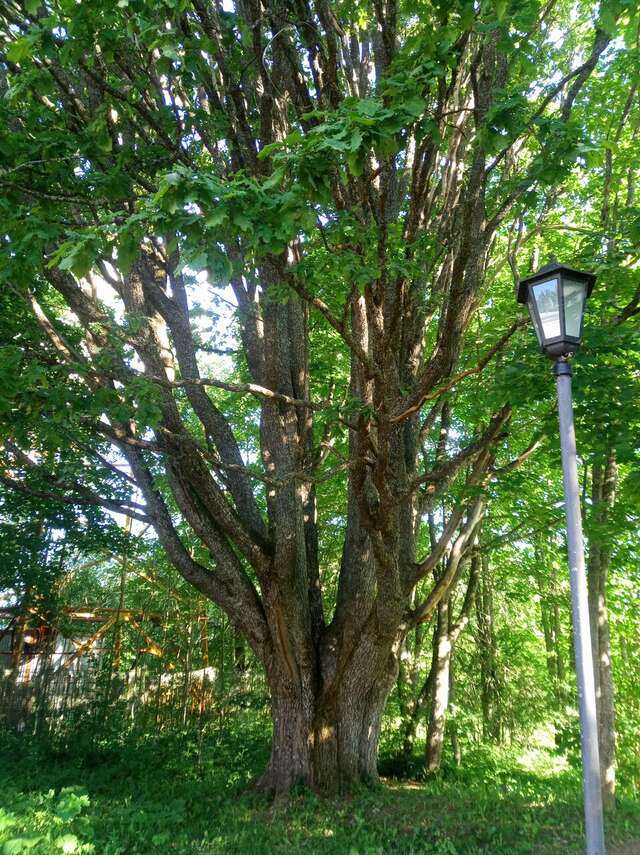 Гостиница Селигер Палас Осташков-183